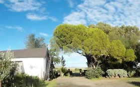Erin Farmhouse & Cottages
